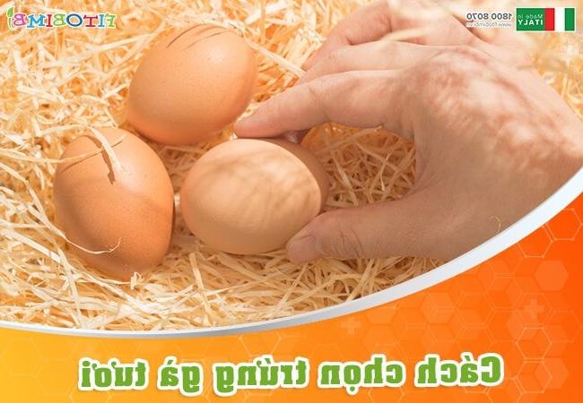 Mẹo chọn trứng gà còn tươi cho mẹ