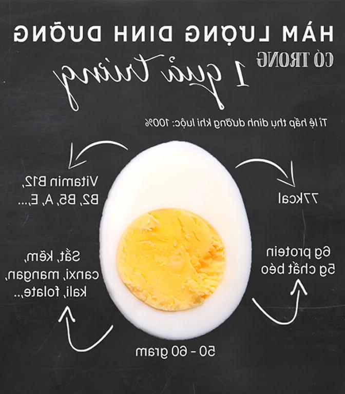 1 quả trứng chứa bao nhiêu protein? Ăn bao nhiêu là đủ?