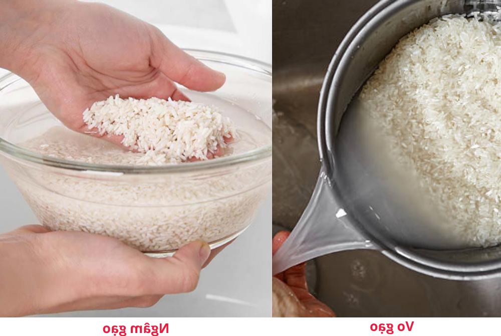 Các bước sơ chế gạo nếp bao gồm vo gạo và ngâm gạo