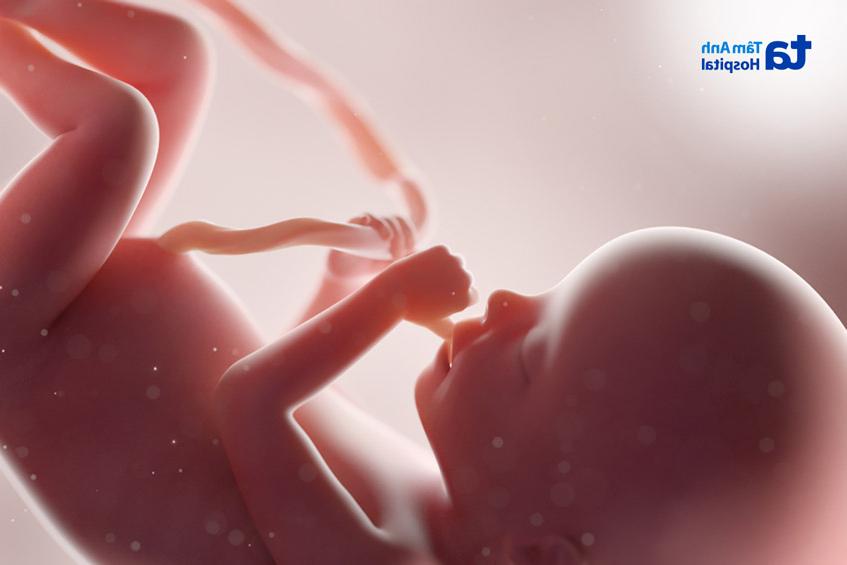 tuân thủ các mốc khám thai giúp thai nhi phát triển tốt