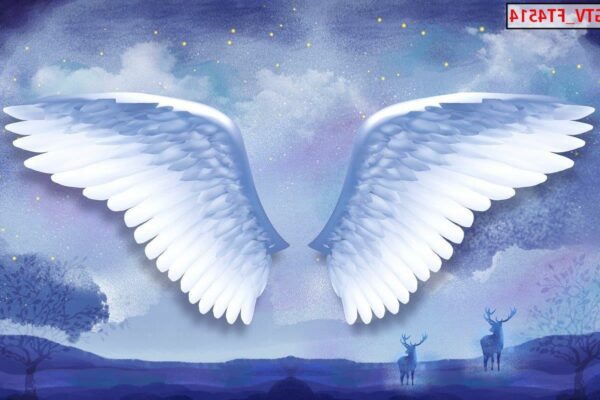 Top những mẫu tranh dán tường 3D đôi cánh thiên thần đẹp tại Sơn Kim