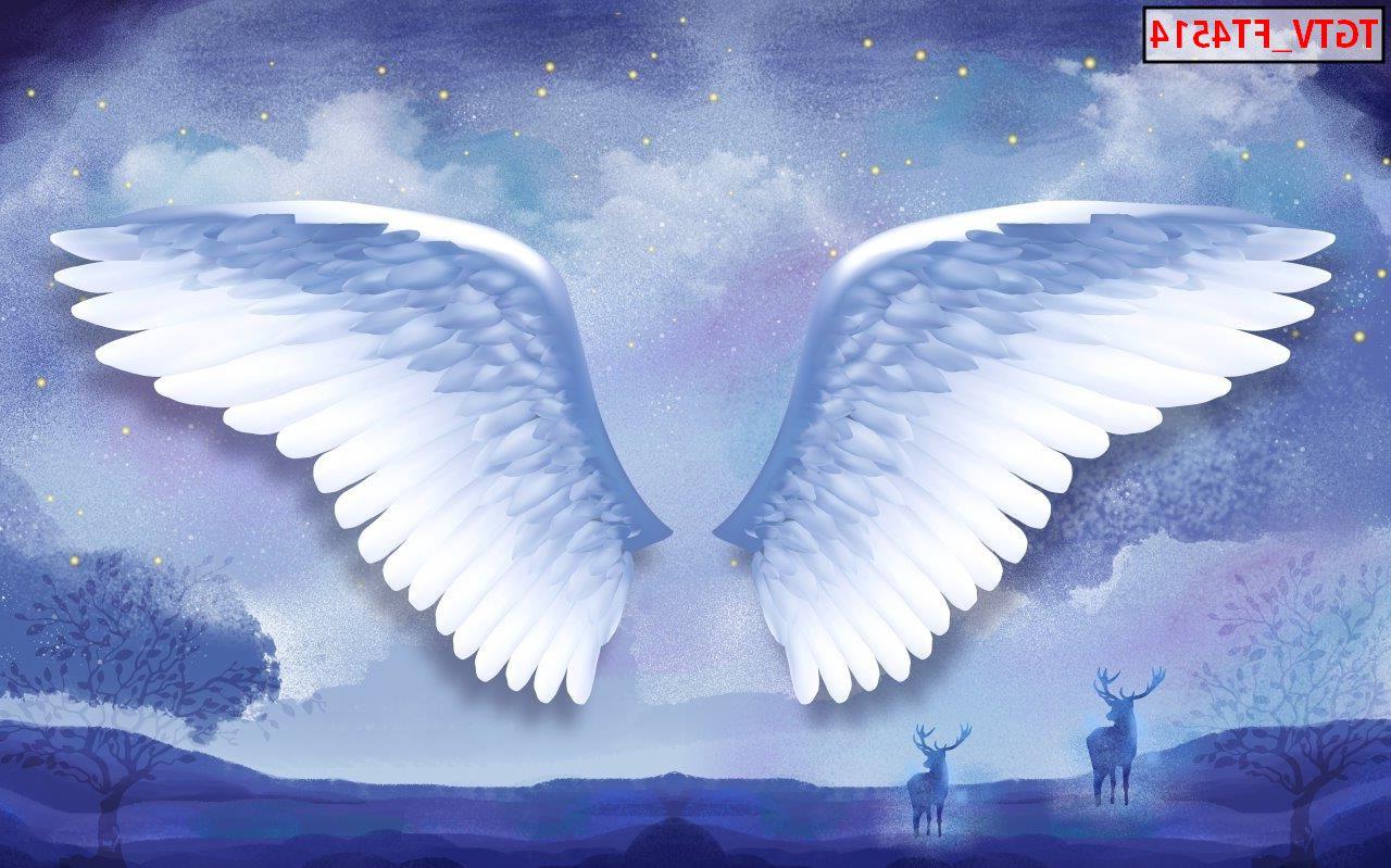Top những mẫu tranh dán tường 3D đôi cánh thiên thần đẹp tại Sơn Kim