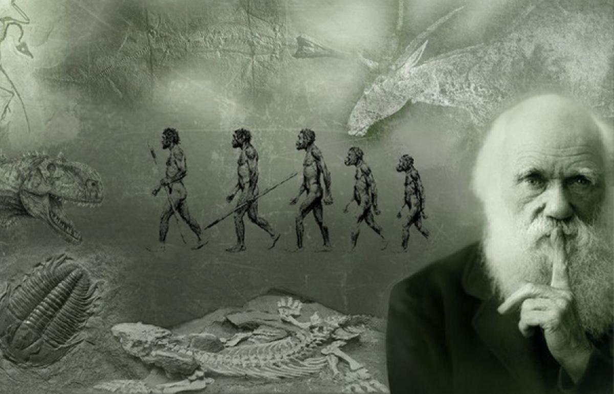 Quan điểm của Đacuyn về tiến hóa - Học thuyết tiến hóa của Đacuyn