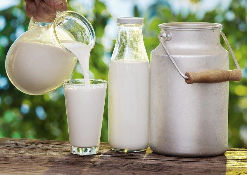 Sữa là loại thực phẩm giúp làm giảm lượng calo nạp vào cơ thể và đáp ứng được nhu cầu giảm cân