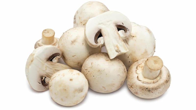 Nấm mỡ - Button Mushroom