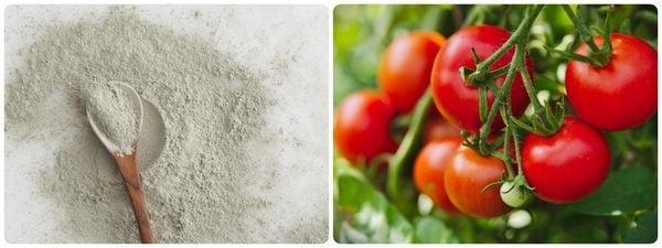 Kết hợp cà chua và bột đất sét