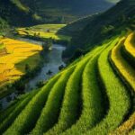 Tài nguyên đất Việt Nam gồm những gì?