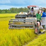 Điều kiện tự nhiên thuận lợi để phát triển nền nông nghiệp nhiệt đới ở Đông Nam Á là?
